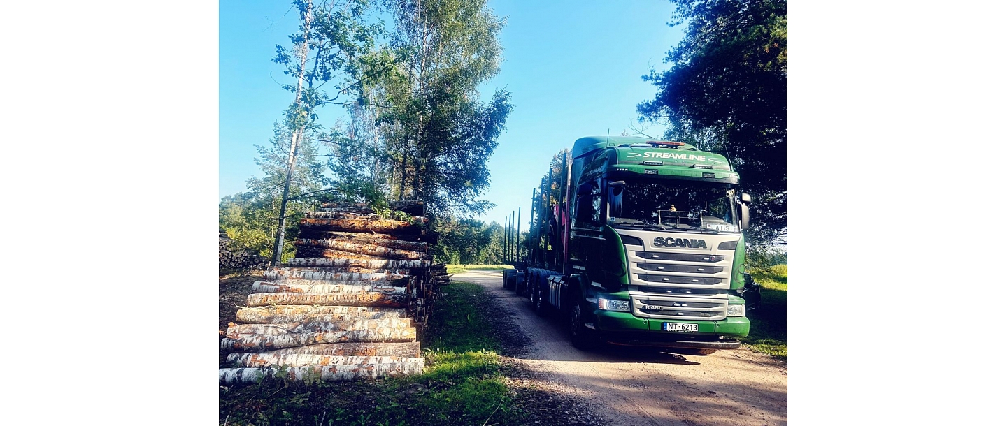 Kokvedēja pakalpojumi